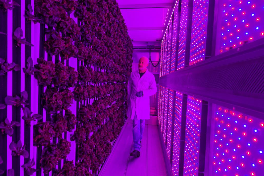 London powers record growth in global climate tech investment